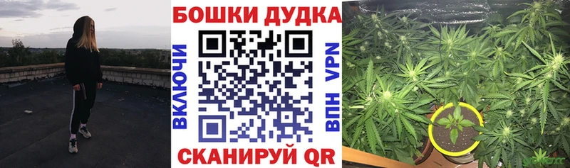 Марихуана гибрид  Балей 